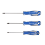 WKRĘTAK TORX Z OTWOREM T20 5.0*100