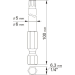 BIT, GROT DŁUGI TORX SECUR 2 SZT.T20*100MM T30*100MM