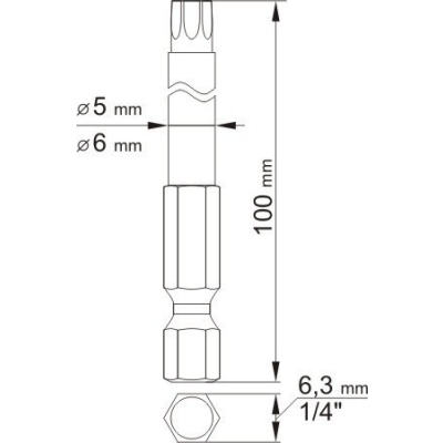 BIT, GROT DŁUGI TORX SECUR 2 SZT.T20*100MM T30*100MM