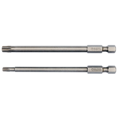 BIT, GROT DŁUGI TORX SECUR 2 SZT.T20*100MM T30*100MM