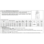 HAK SKRACAJĄCY SWORZNIOWY G10 13MM WLL 6.7T