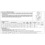 HAK SWORZNIOWY OCYNKOWANY 3/8' 2.45T 10MM