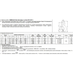 HAK SKRACAJĄCY Z UCHEM 13MM WLL5.3T G8 EN1677-1