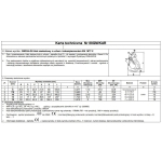 HAK ZAWIESIOWY Z UCHEM I ZABEZPIECZENIEM G8 13MM WLL 5.3T