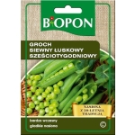 GROCH SIEWNY, ŁUSKOWY. SZEŚCIOTYGODNIOWY 40G