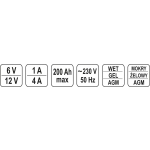 PROSTOWNIK ELEKTRONICZNY 12/6V 200A