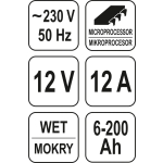 PROSTOWNIK ELEKTRONICZNY 12V 12A 6-200A