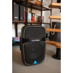 PROFESJONALNY SYSTEM AUDIO PA10