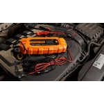 PROSTOWNIK AUTOMATYCZNY 6A/100W,3-150AH DO AGM/GEL