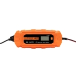 PROSTOWNIK AUTOMATYCZNY 6A/100W,3-150AH DO AGM/GEL