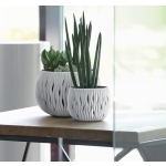DONICZKA BOWL SANDY - KREM