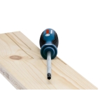 ZESTAW WKRĘTAKÓW TORX 6 SZT.