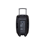 PROFESJONALNY SYSTEM AUDIO PA15