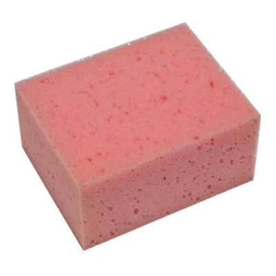 GĄBKA HYDROCHŁONNA