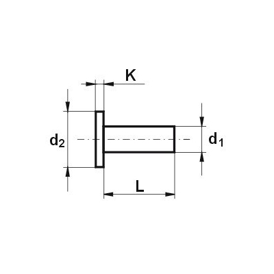 NIT ALUMINIOWY PEŁNY Z ŁBEM WALCOWYM 6.0*22 MM