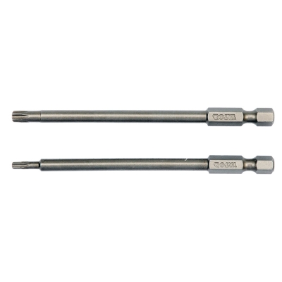 BIT, GROT DŁUGI TORX SECUR 2 SZT.T10*100 T25*100
