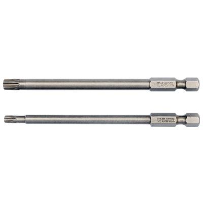 BIT, GROT DŁUGI TORX SECUR 2 SZT.T20*100MM T30*100MM