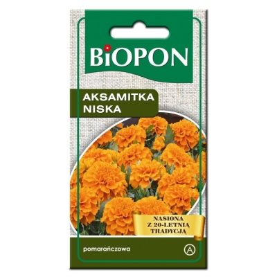 AKSAMITKA NISKA - POMARAŃCZOWA 1G