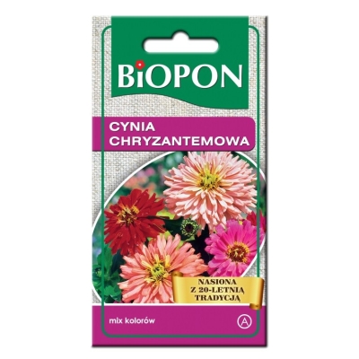 CYNIA WYTWORNA CHRYZANTEMOWA - MIESZANKA 1G