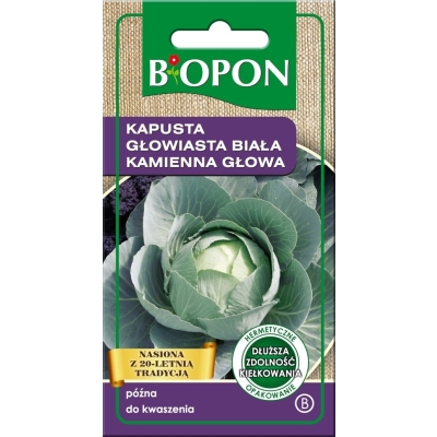 KAPUSTA GŁOWIASTA BIAŁA KAMIENNA GŁOWA 2G