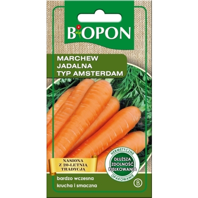 MARCHEW JADALNA AMSTERDAM 3 4G