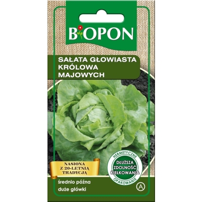 SAŁATA GŁOWIASTA KRÓLOWA MAJOWYCH 1G