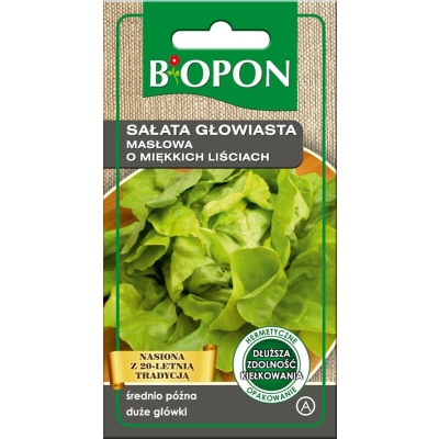 SAŁATA GŁOWIASTA MASŁOWA O MIĘKKICH LIŚCIACH 1G