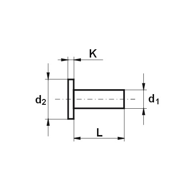 NIT ALUMINIOWY PEŁNY Z ŁBEM WALCOWYM 6.0*35 MM