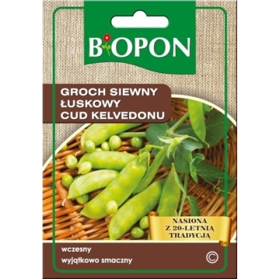 GROCH SIEWNY - ŁUSKOWY - CUD KELVEDONU WRINKLED PEA 40G
