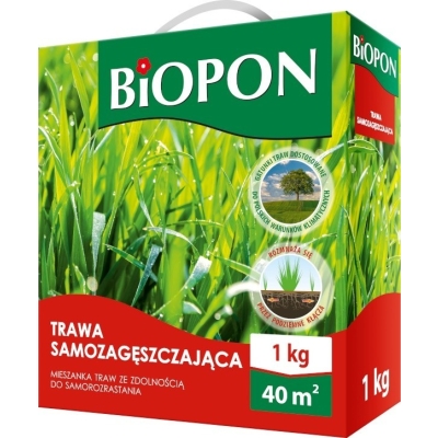 TRAWA SAMOZAGĘSZCZAJĄCA 1 KG