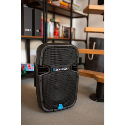PROFESJONALNY SYSTEM AUDIO PA10