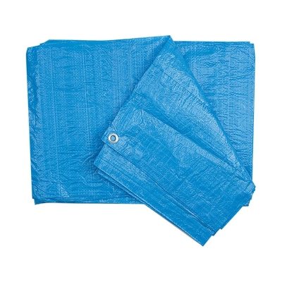 PLANDEKA 90G/M2 5*8M