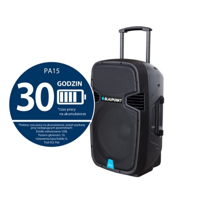 PROFESJONALNY SYSTEM AUDIO PA15